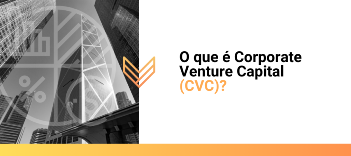 O que é Corporate Venture Capital (CVC)? - Valetec